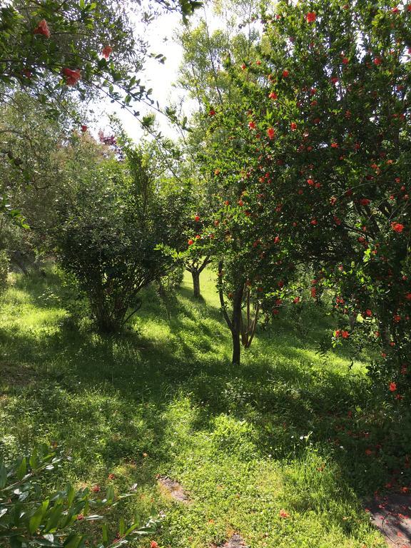 شقة Casale Le Querce كاستيلْنْوافو بيراردين المظهر الخارجي الصورة